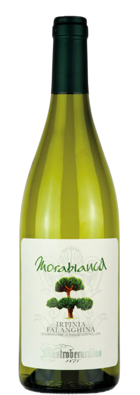 MORABIANCA IRPINIA FALANGHINA DOC21 75CL - MASTROBERARDINO