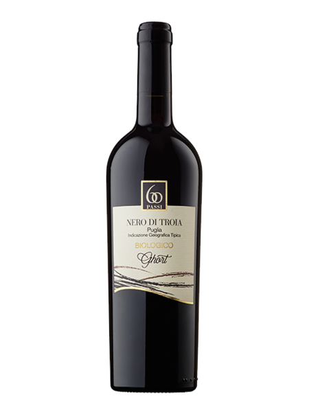 VINO 60 PASSI BIO FERMO ROSSO GHORT- NERO DI TROIA 75 CL